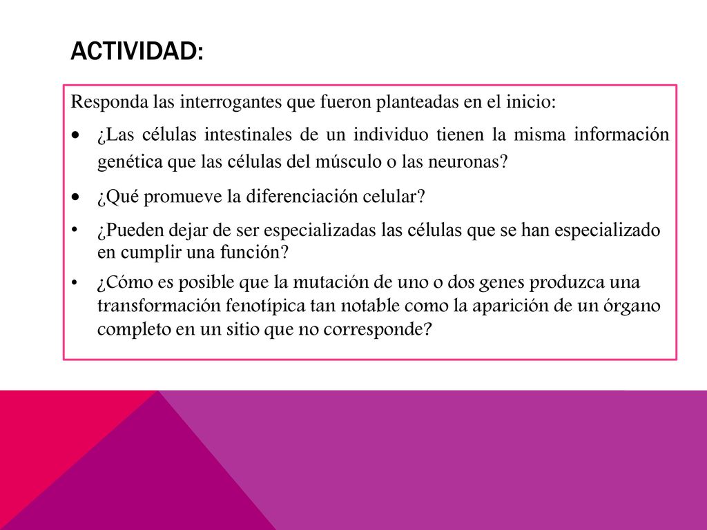Actividad: Responda las interrogantes que fueron planteadas en el inicio: