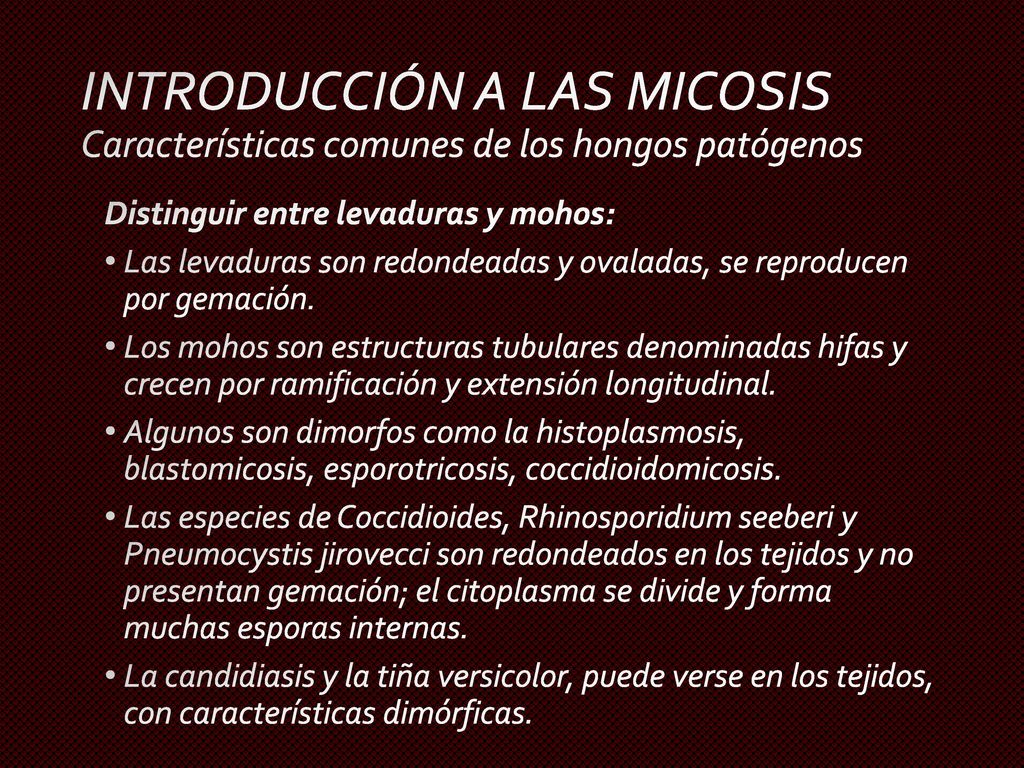 INTRODUCCIÓN A LAS MICOSIS Características comunes de los hongos patógenos