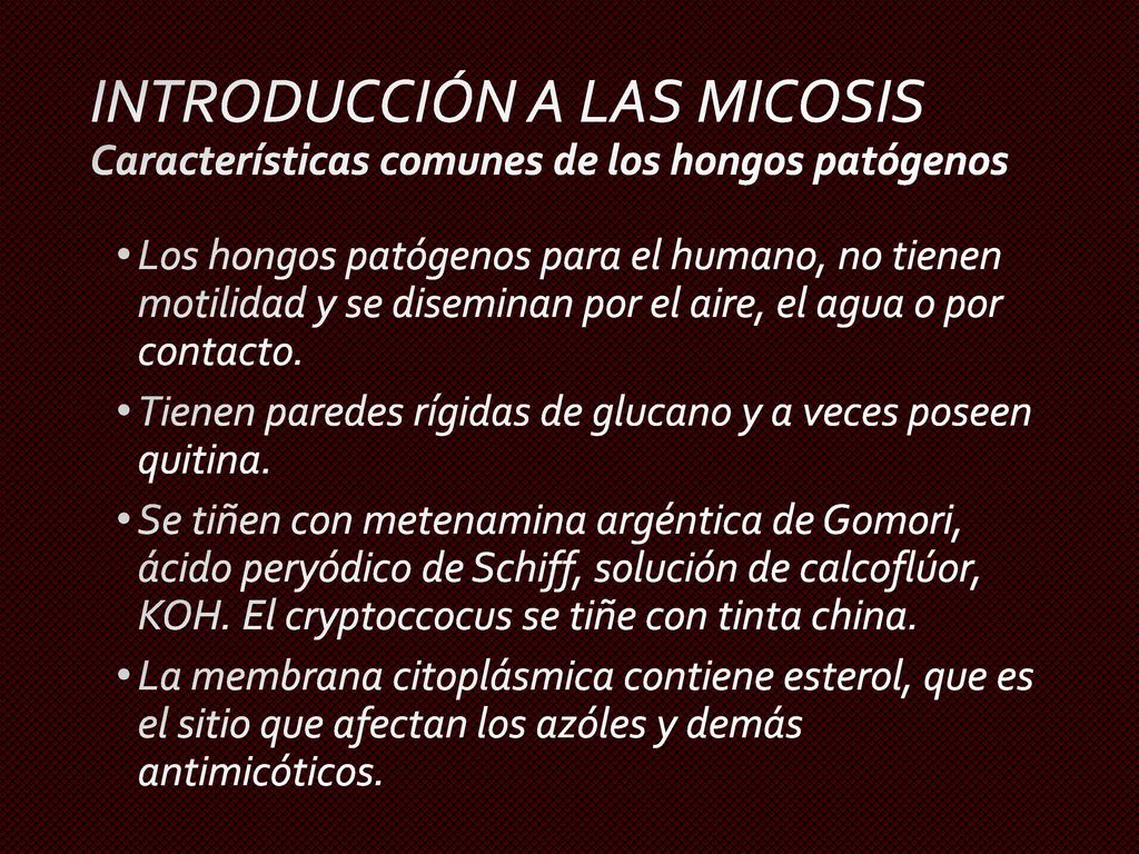 INTRODUCCIÓN A LAS MICOSIS Características comunes de los hongos patógenos