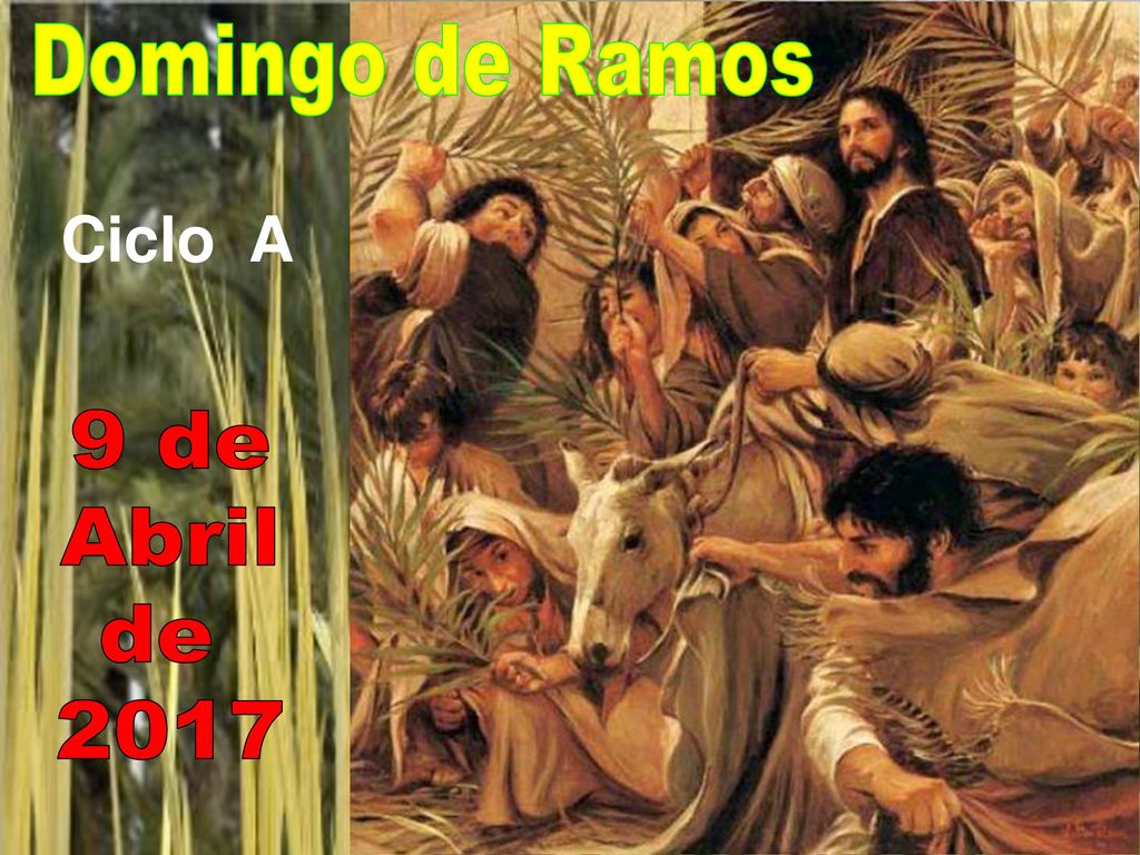 Domingo de Ramos Ciclo A 9 de Abril de 2017