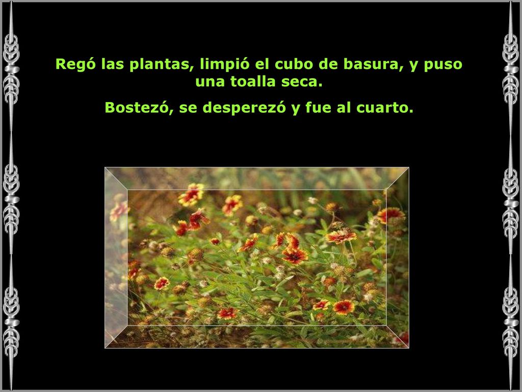 Regó las plantas, limpió el cubo de basura, y puso una toalla seca.