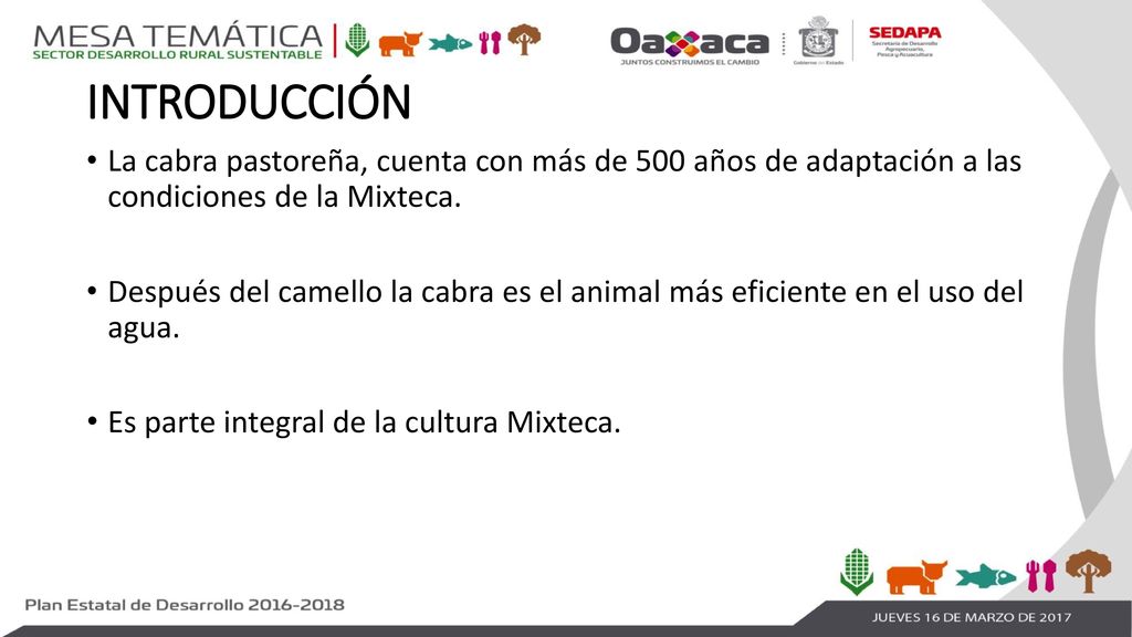 INTRODUCCIÓN La cabra pastoreña, cuenta con más de 500 años de adaptación a las condiciones de la Mixteca.