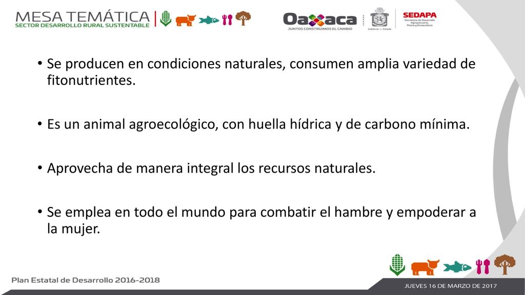 Se producen en condiciones naturales, consumen amplia variedad de fitonutrientes.