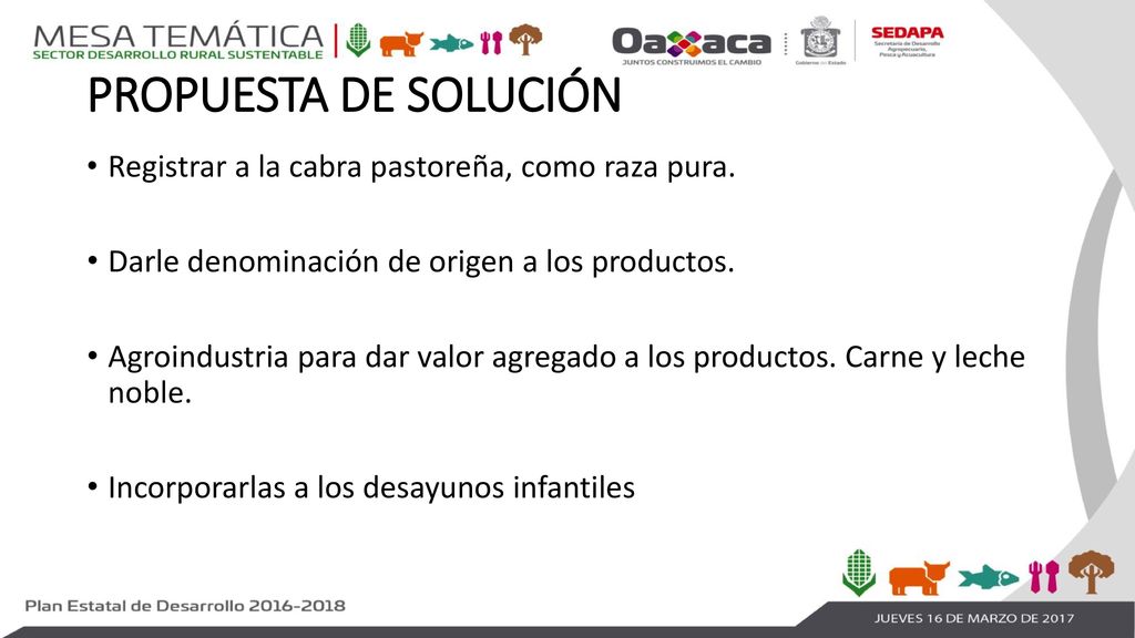 PROPUESTA DE SOLUCIÓN Registrar a la cabra pastoreña, como raza pura.