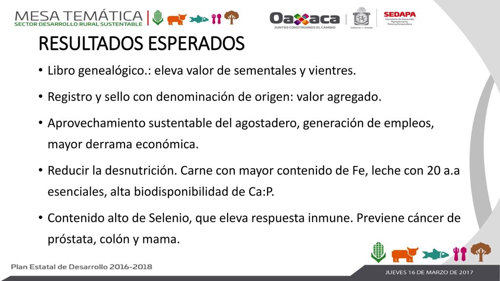 RESULTADOS ESPERADOS Libro genealógico.: eleva valor de sementales y vientres. Registro y sello con denominación de origen: valor agregado.