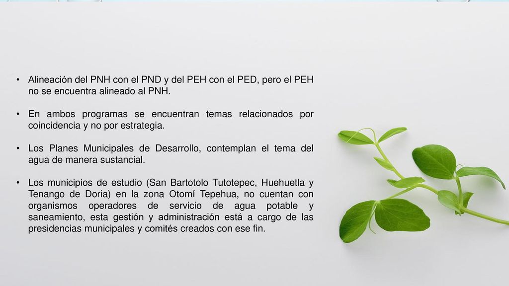 Alineación del PNH con el PND y del PEH con el PED, pero el PEH no se encuentra alineado al PNH.