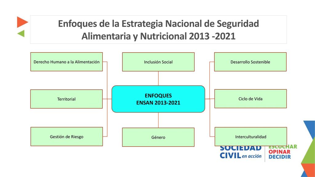 Enfoques de la Estrategia Nacional de Seguridad Alimentaria y Nutricional