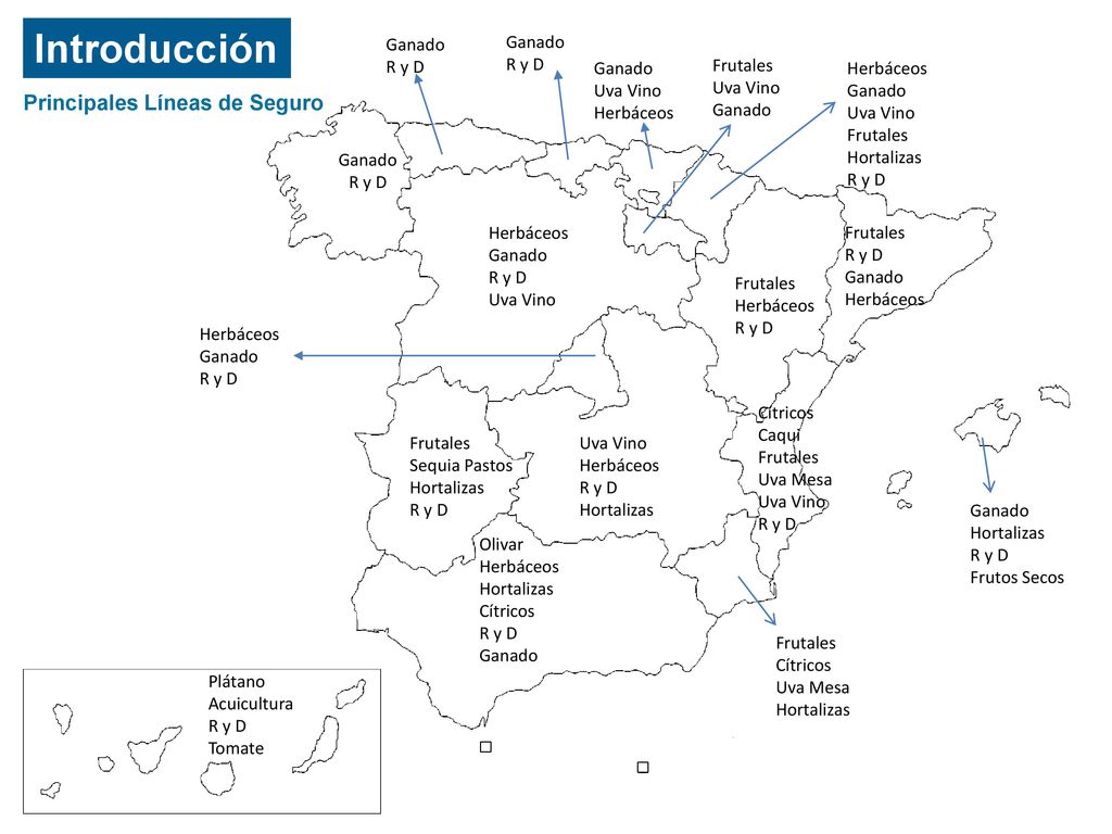 Introducción Principales Líneas de Seguro Ganado R y D Ganado R y D