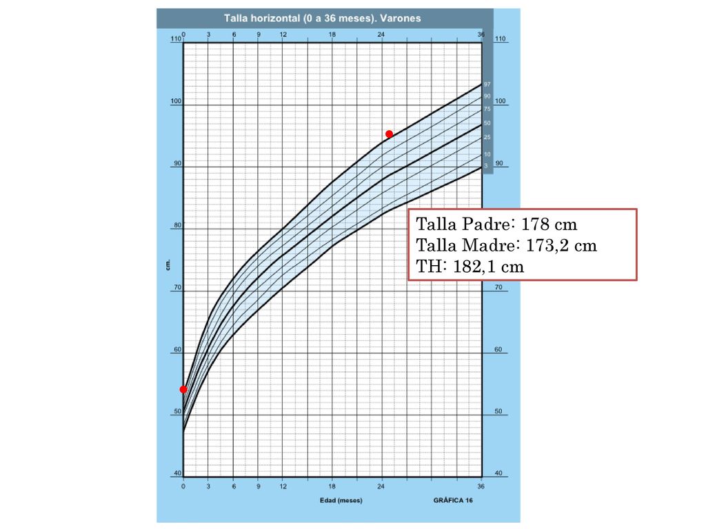 Talla Padre: 178 cm Talla Madre: 173,2 cm TH: 182,1 cm