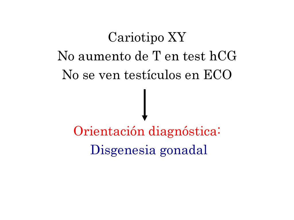 No aumento de T en test hCG No se ven testículos en ECO