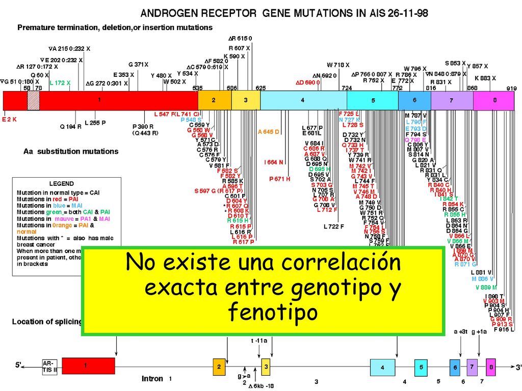 No existe una correlación exacta entre genotipo y fenotipo
