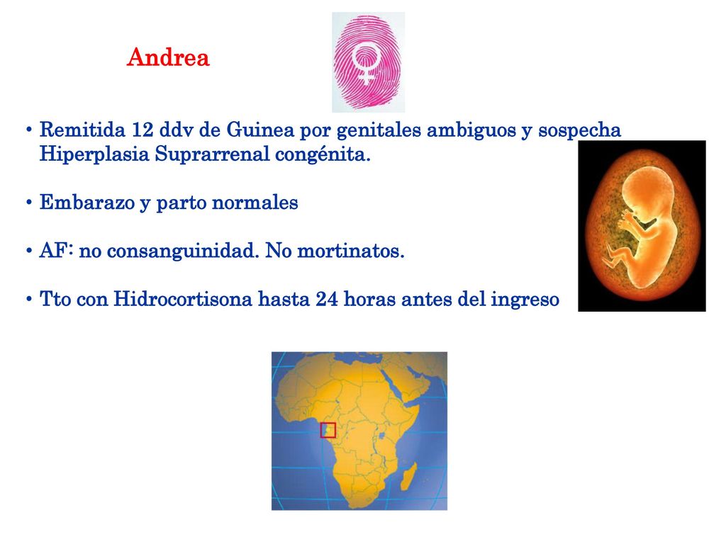 Andrea Remitida 12 ddv de Guinea por genitales ambiguos y sospecha Hiperplasia Suprarrenal congénita.