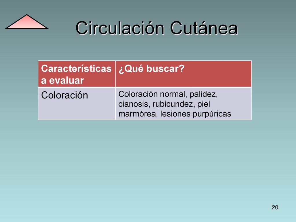 Circulación Cutánea Características a evaluar ¿Qué buscar Coloración
