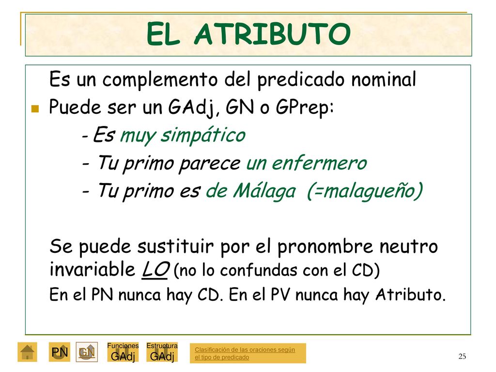 EL ATRIBUTO Puede ser un GAdj, GN o GPrep: - Es muy simpático