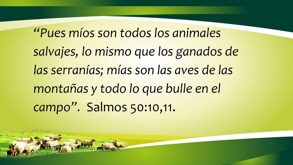 Pues míos son todos los animales salvajes, lo mismo que los ganados de las serranías; mías son las aves de las montañas y todo lo que bulle en el campo .