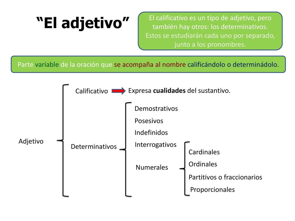 Estos se estudiarán cada uno por separado, junto a los pronombres.