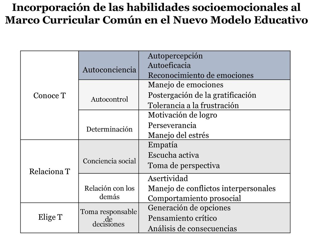 Incorporación de las habilidades socioemocionales al Marco Curricular Común en el Nuevo Modelo Educativo