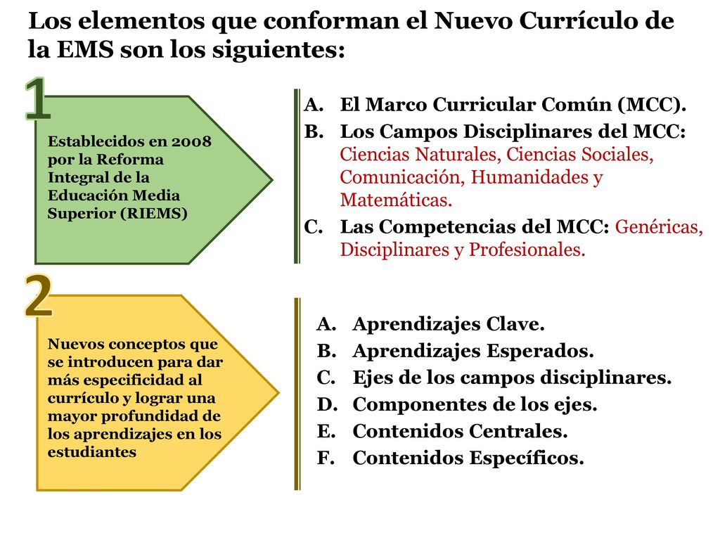 Los elementos que conforman el Nuevo Currículo de la EMS son los siguientes: