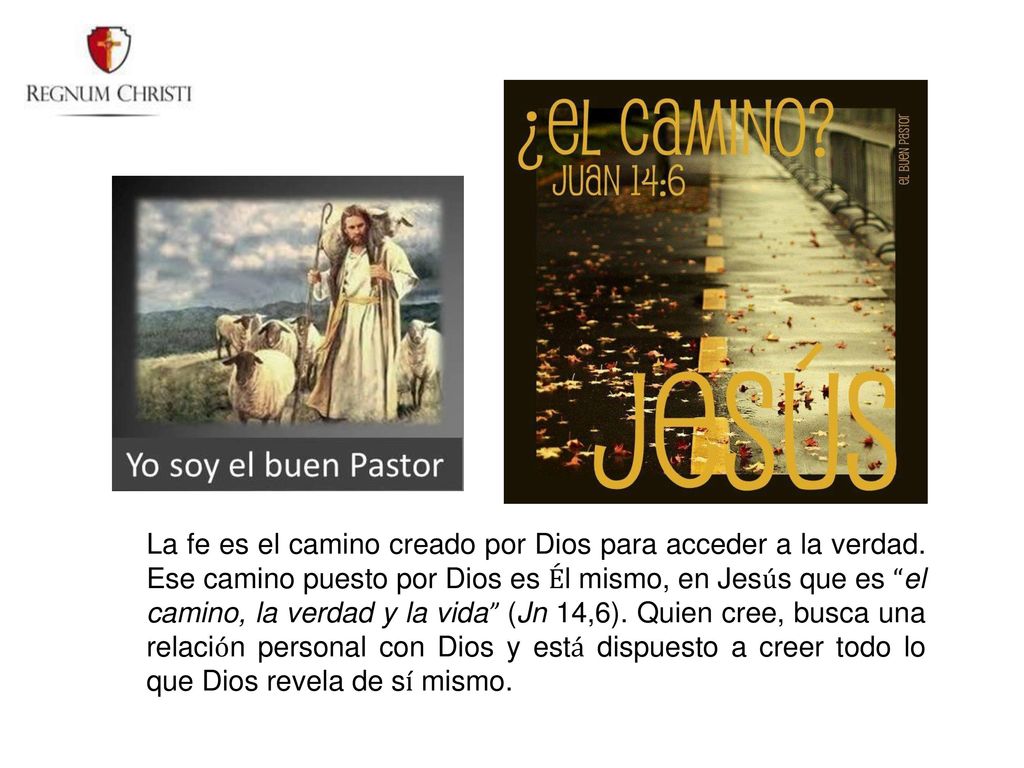 La fe es el camino creado por Dios para acceder a la verdad