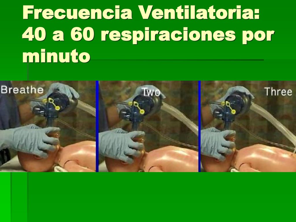Frecuencia Ventilatoria: 40 a 60 respiraciones por minuto