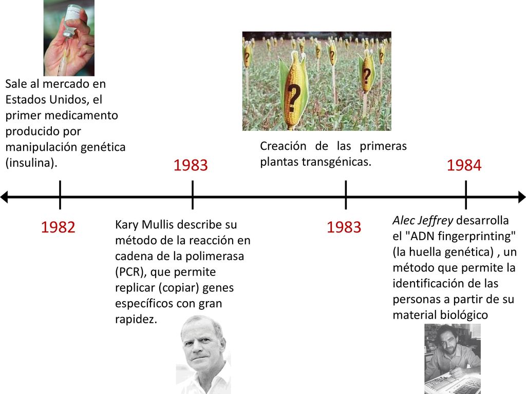 Sale al mercado en Estados Unidos, el primer medicamento producido por manipulación genética (insulina).
