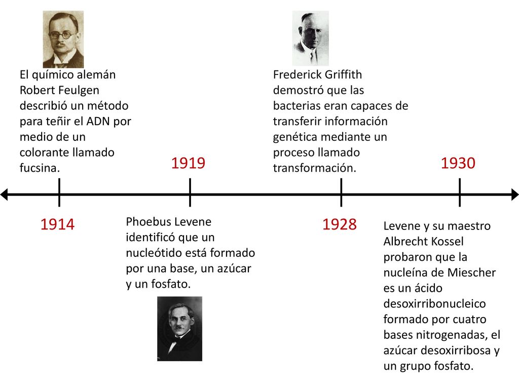 El químico alemán Robert Feulgen describió un método para teñir el ADN por medio de un colorante llamado fucsina.