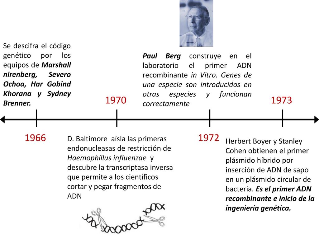 Se descifra el código genético por los equipos de Marshall nirenberg, Severo Ochoa, Har Gobind Khorana y Sydney Brenner.