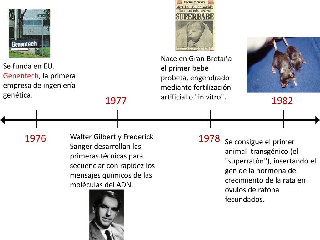 Nace en Gran Bretaña el primer bebé probeta, engendrado mediante fertilización artificial o in vitro .