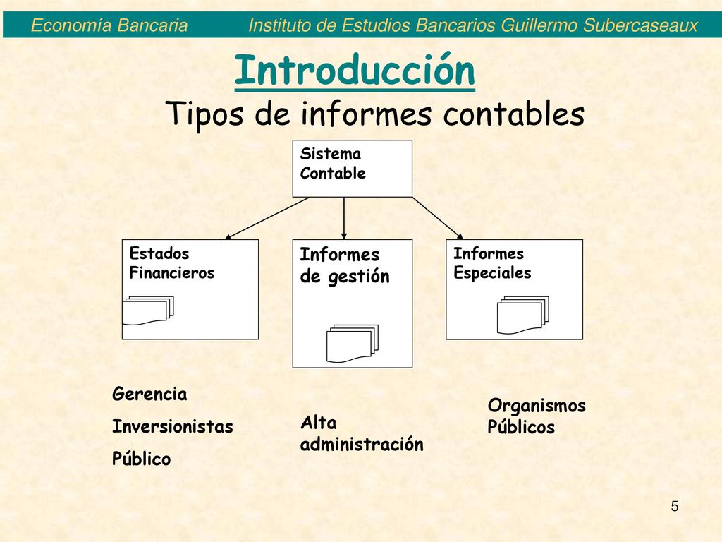 Introducción Tipos de informes contables