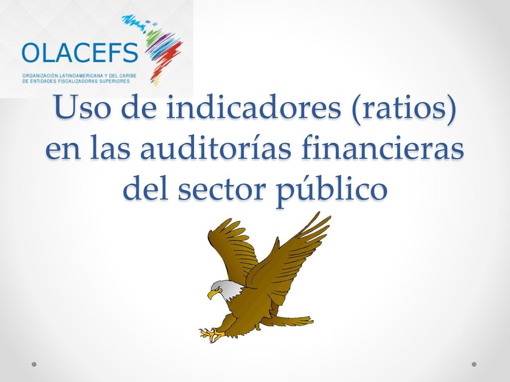 Uso de indicadores (ratios) en las auditorías financieras del sector público