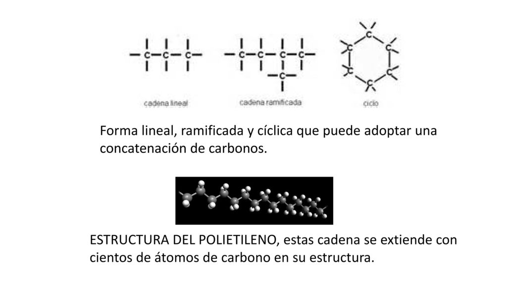 Forma lineal, ramificada y cíclica que puede adoptar una concatenación de carbonos.