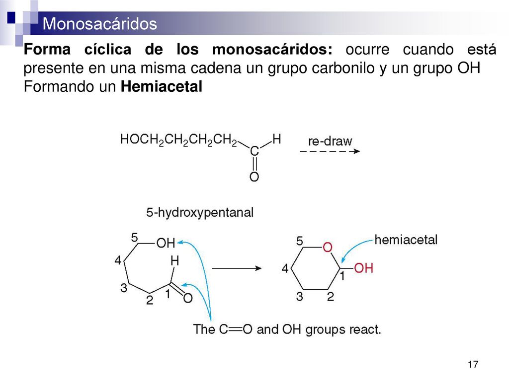 Forma cíclica de los monosacáridos: ocurre cuando está presente en una misma cadena un grupo carbonilo y un grupo OH