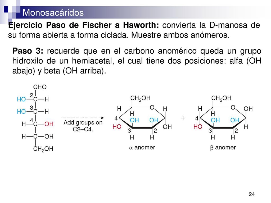 Ejercicio Paso de Fischer a Haworth: convierta la D-manosa de su forma abierta a forma ciclada. Muestre ambos anómeros.