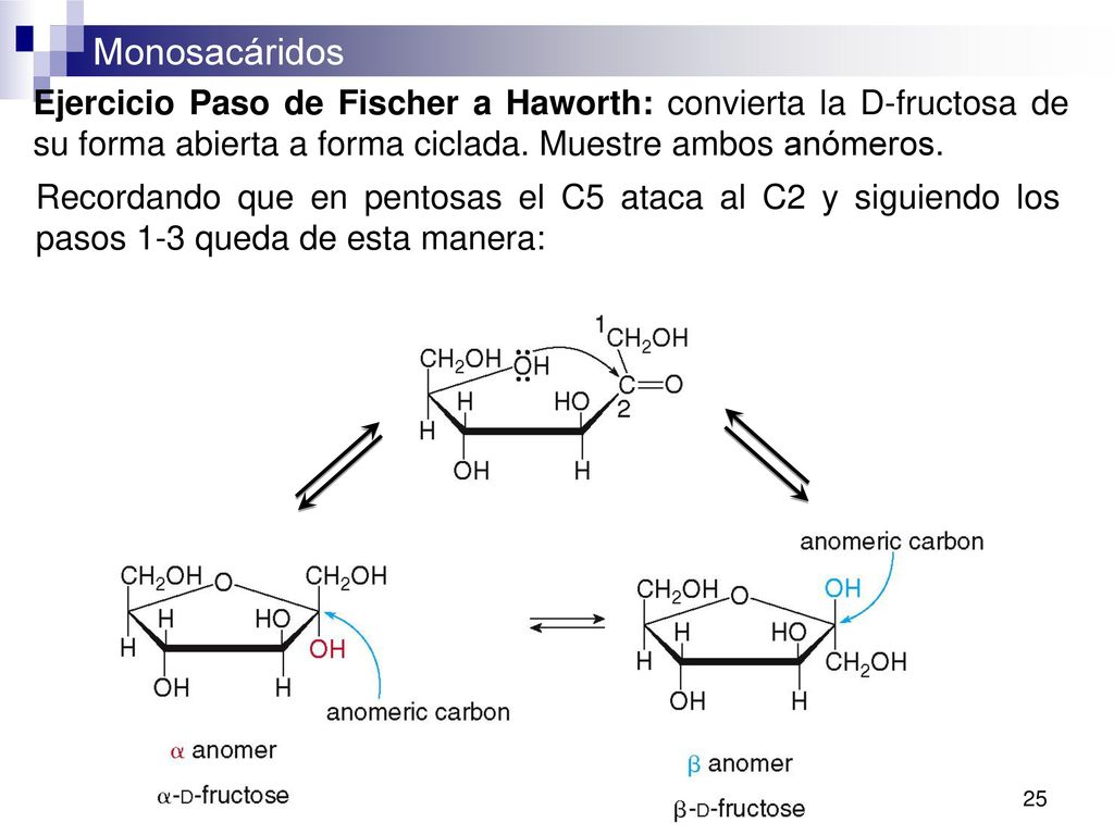 Ejercicio Paso de Fischer a Haworth: convierta la D-fructosa de su forma abierta a forma ciclada. Muestre ambos anómeros.