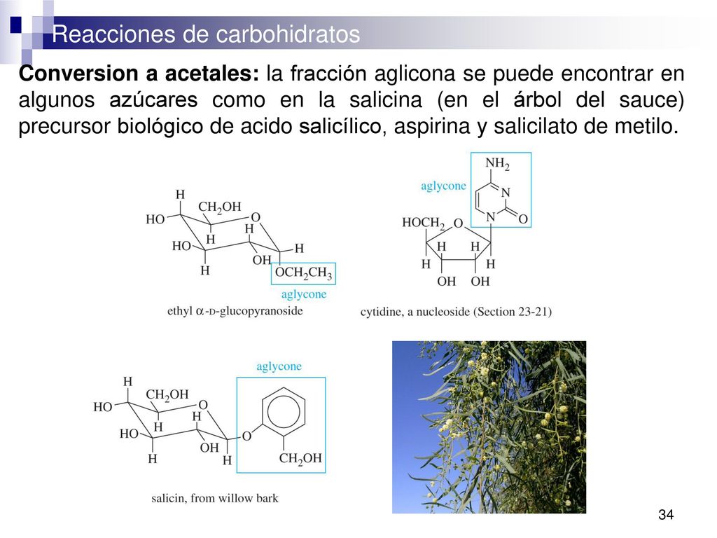 Conversion a acetales: la fracción aglicona se puede encontrar en algunos azúcares como en la salicina (en el árbol del sauce) precursor biológico de acido salicílico, aspirina y salicilato de metilo.