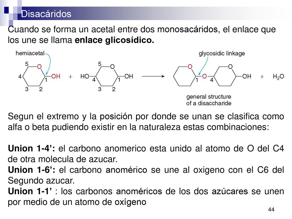 Cuando se forma un acetal entre dos monosacáridos, el enlace que los une se llama enlace glicosídico.