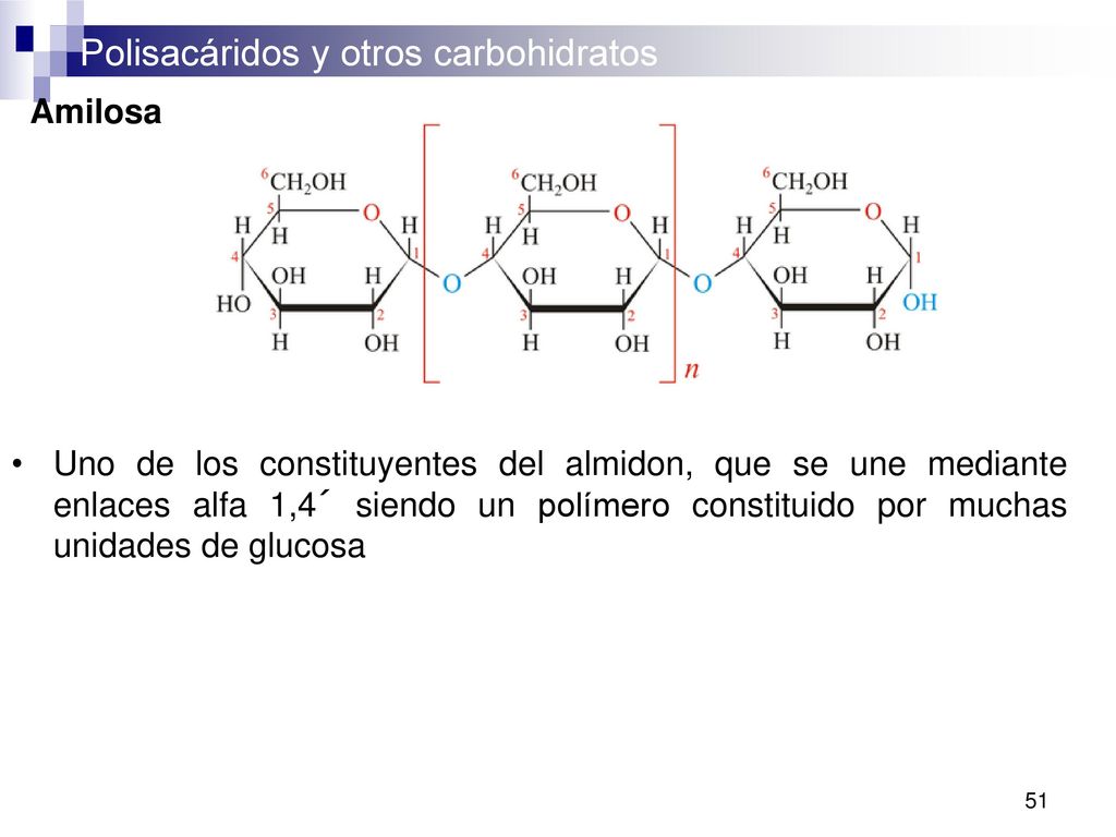 Amilosa Uno de los constituyentes del almidon, que se une mediante enlaces alfa 1,4´ siendo un polímero constituido por muchas unidades de glucosa.