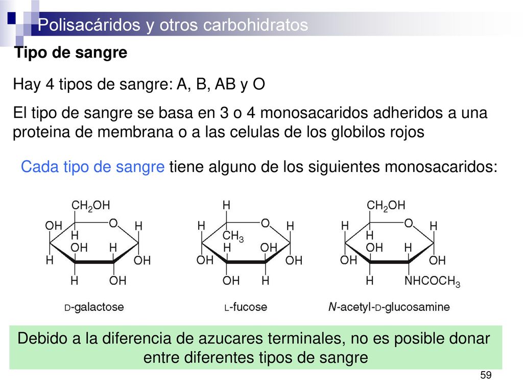 Hay 4 tipos de sangre: A, B, AB y O