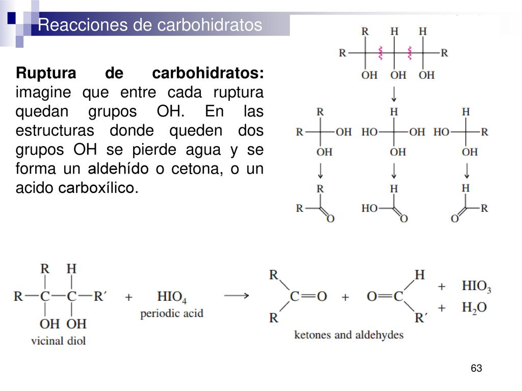 Ruptura de carbohidratos: imagine que entre cada ruptura quedan grupos OH.