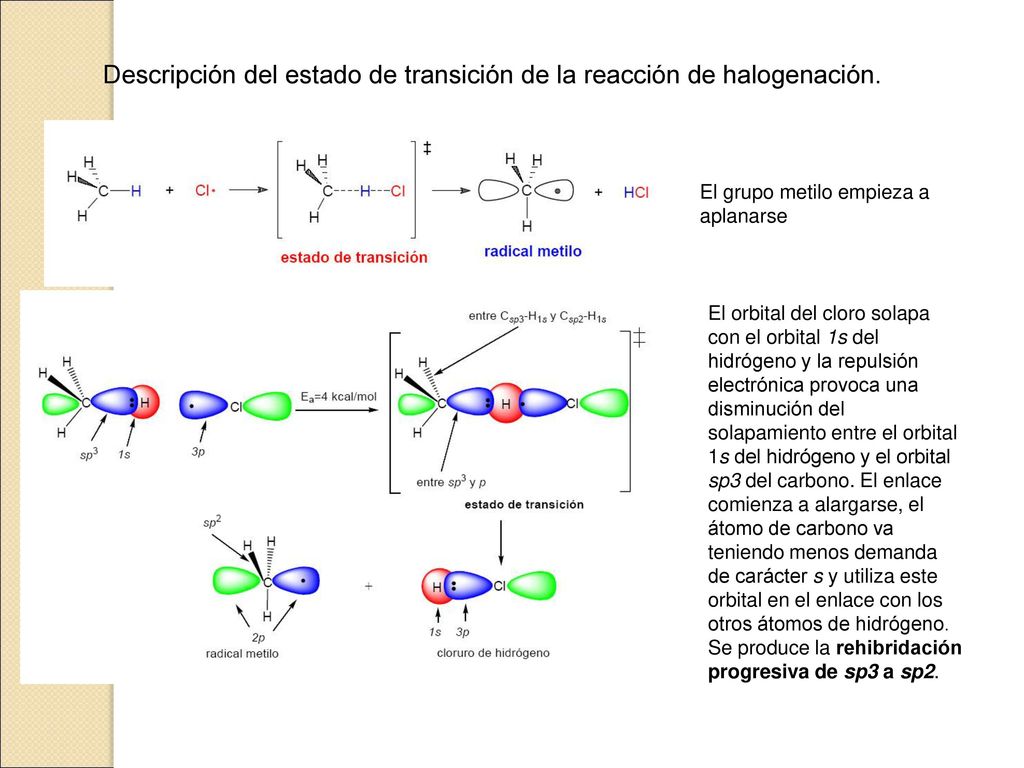 Descripción del estado de transición de la reacción de halogenación.