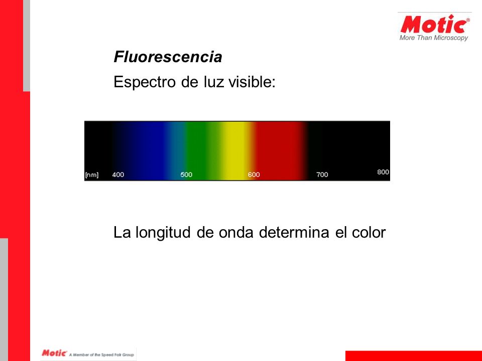 Introducción a la Microscopía de Fluorescencia - ppt descargar