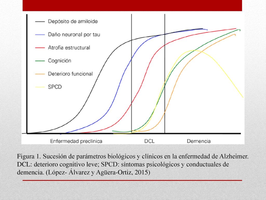 Figura 1. Sucesión de parámetros biológicos y clínicos en la enfermedad de Alzheimer.