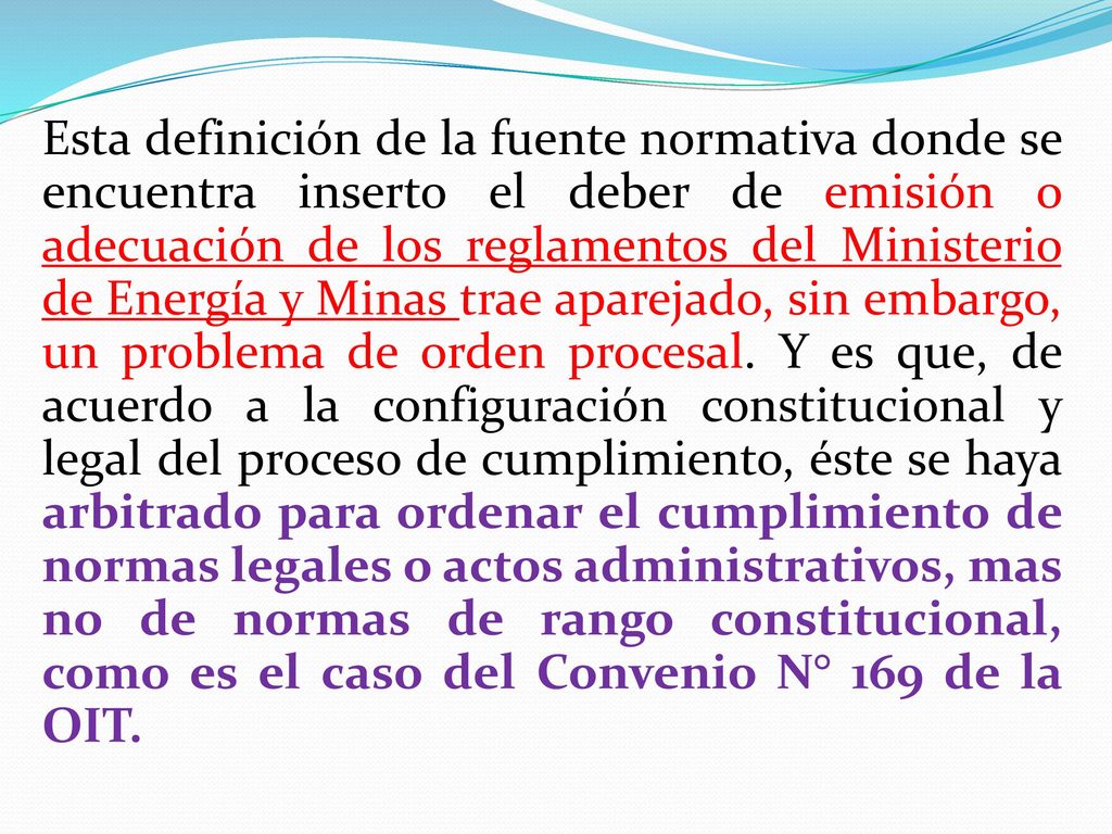 Esta definición de la fuente normativa donde se encuentra inserto el deber de emisión o adecuación de los reglamentos del Ministerio de Energía y Minas trae aparejado, sin embargo, un problema de orden procesal.