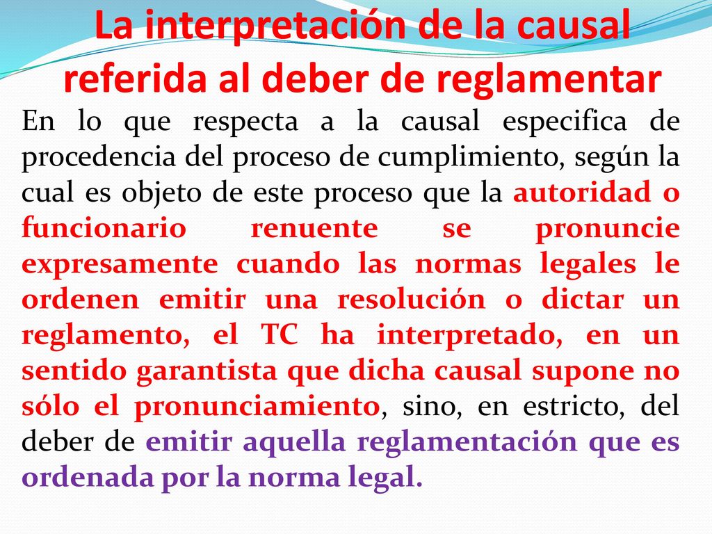 La interpretación de la causal referida al deber de reglamentar