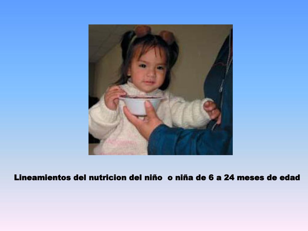Lineamientos del nutricion del niño o niña de 6 a 24 meses de edad