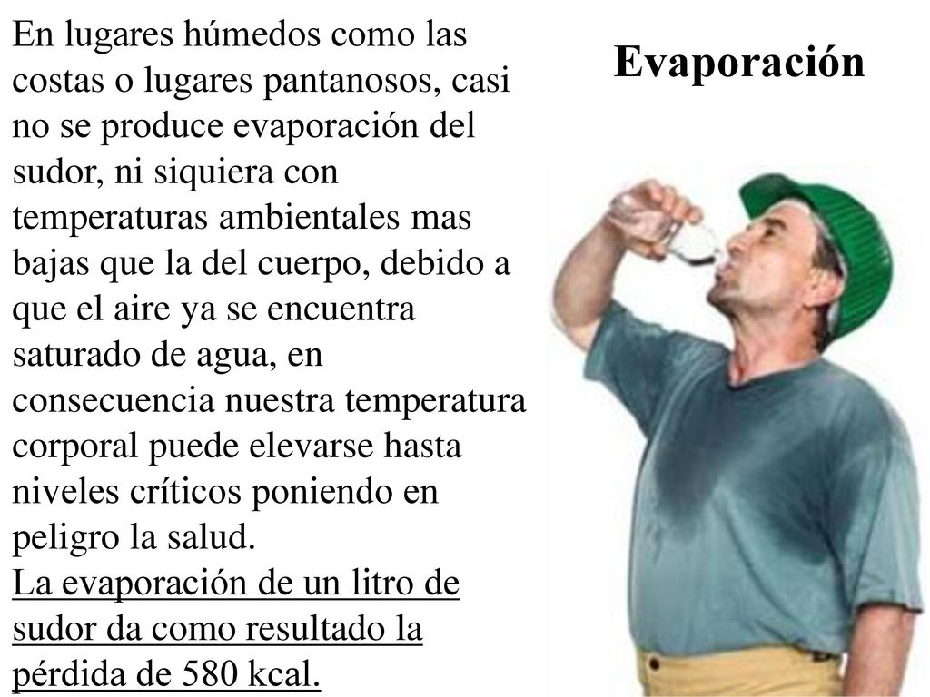 En lugares húmedos como las costas o lugares pantanosos, casi no se produce evaporación del sudor, ni siquiera con temperaturas ambientales mas bajas que la del cuerpo, debido a que el aire ya se encuentra saturado de agua, en consecuencia nuestra temperatura corporal puede elevarse hasta niveles críticos poniendo en peligro la salud.