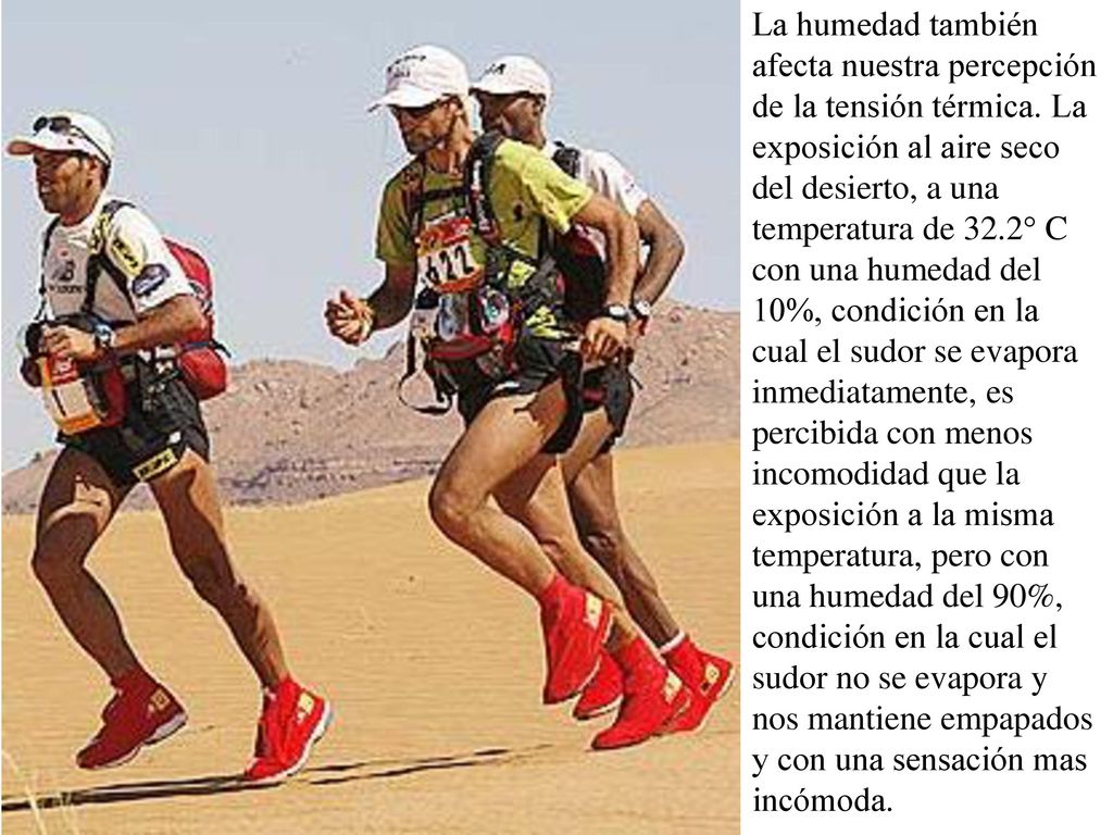 La humedad también afecta nuestra percepción de la tensión térmica