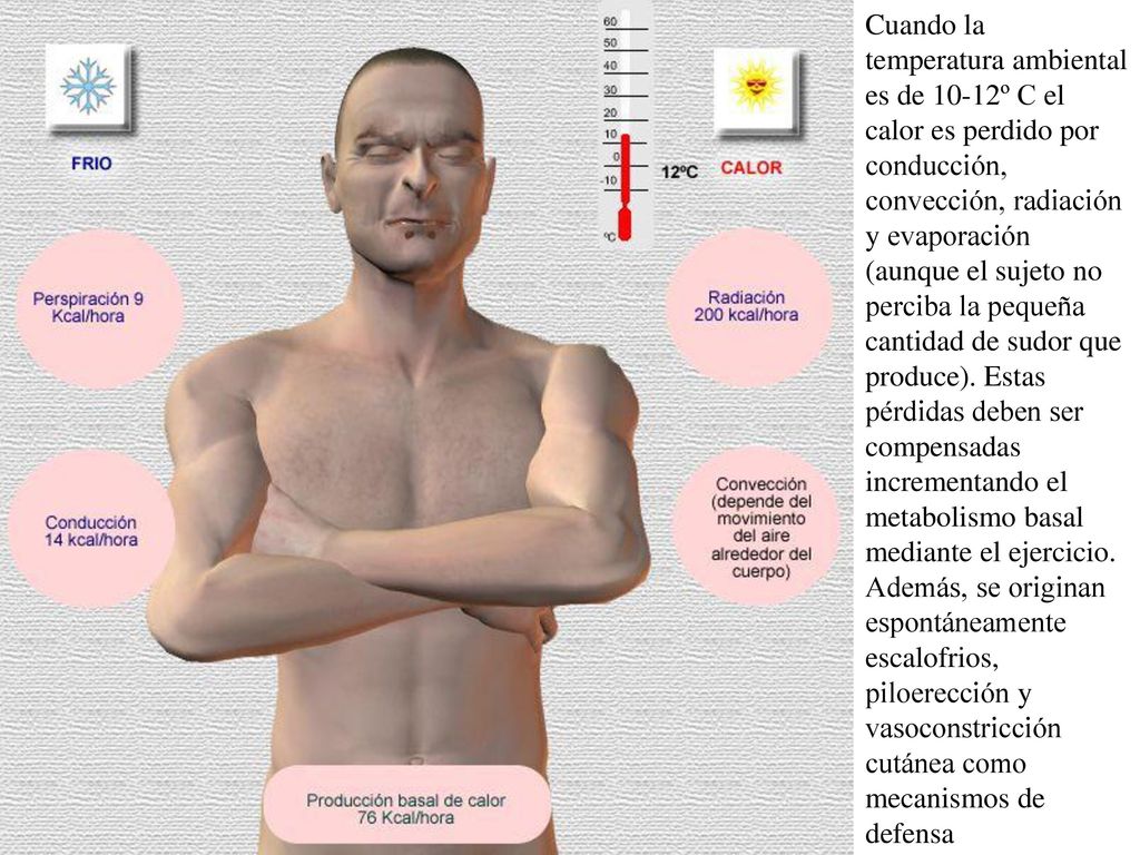 Cuando la temperatura ambiental es de 10-12º C el calor es perdido por conducción, convección, radiación y evaporación (aunque el sujeto no perciba la pequeña cantidad de sudor que produce).