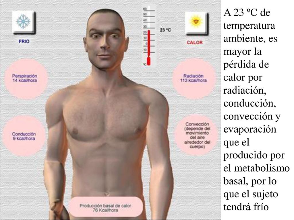 A 23 ºC de temperatura ambiente, es mayor la pérdida de calor por radiación, conducción, convección y evaporación que el producido por el metabolismo basal, por lo que el sujeto tendrá frío