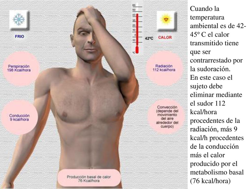 Cuando la temperatura ambiental es de 42-45º C el calor transmitido tiene que ser contrarrestado por la sudoración.